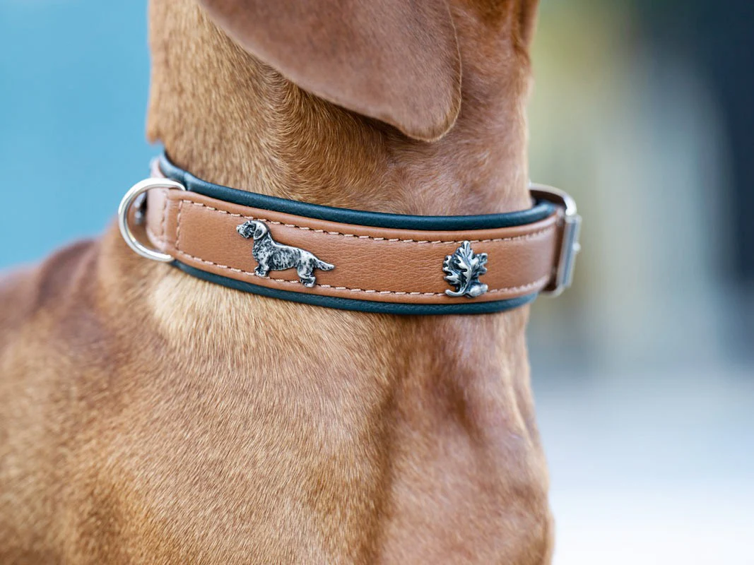 Halsband Dackel - Image 5