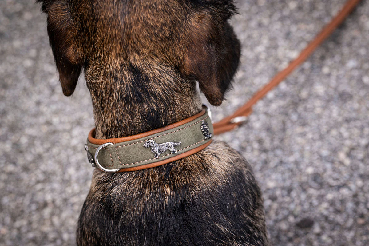 Halsband Dackel - Image 8