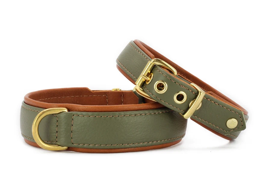 Halsband Klassik Exklusiv - Image 4