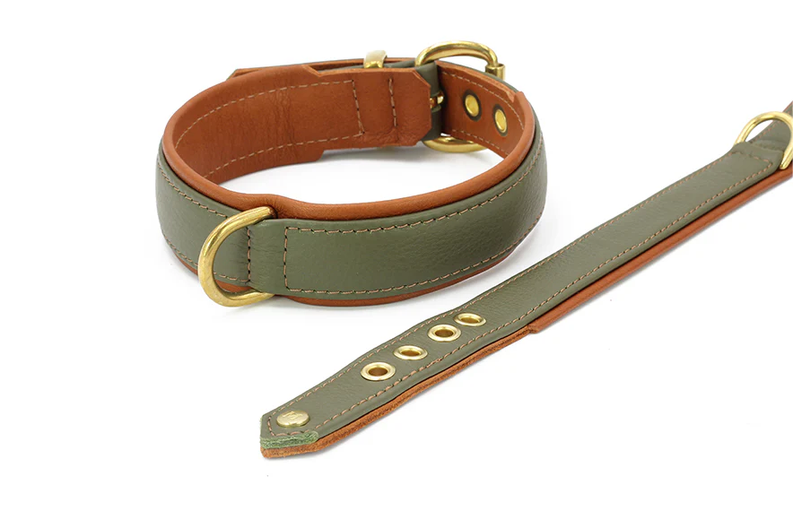 Halsband Klassik Exklusiv - Image 5