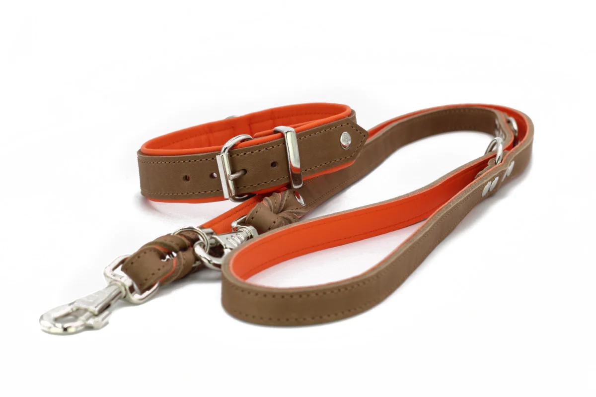 Halsband Klassik Premium Mokka - Image 13