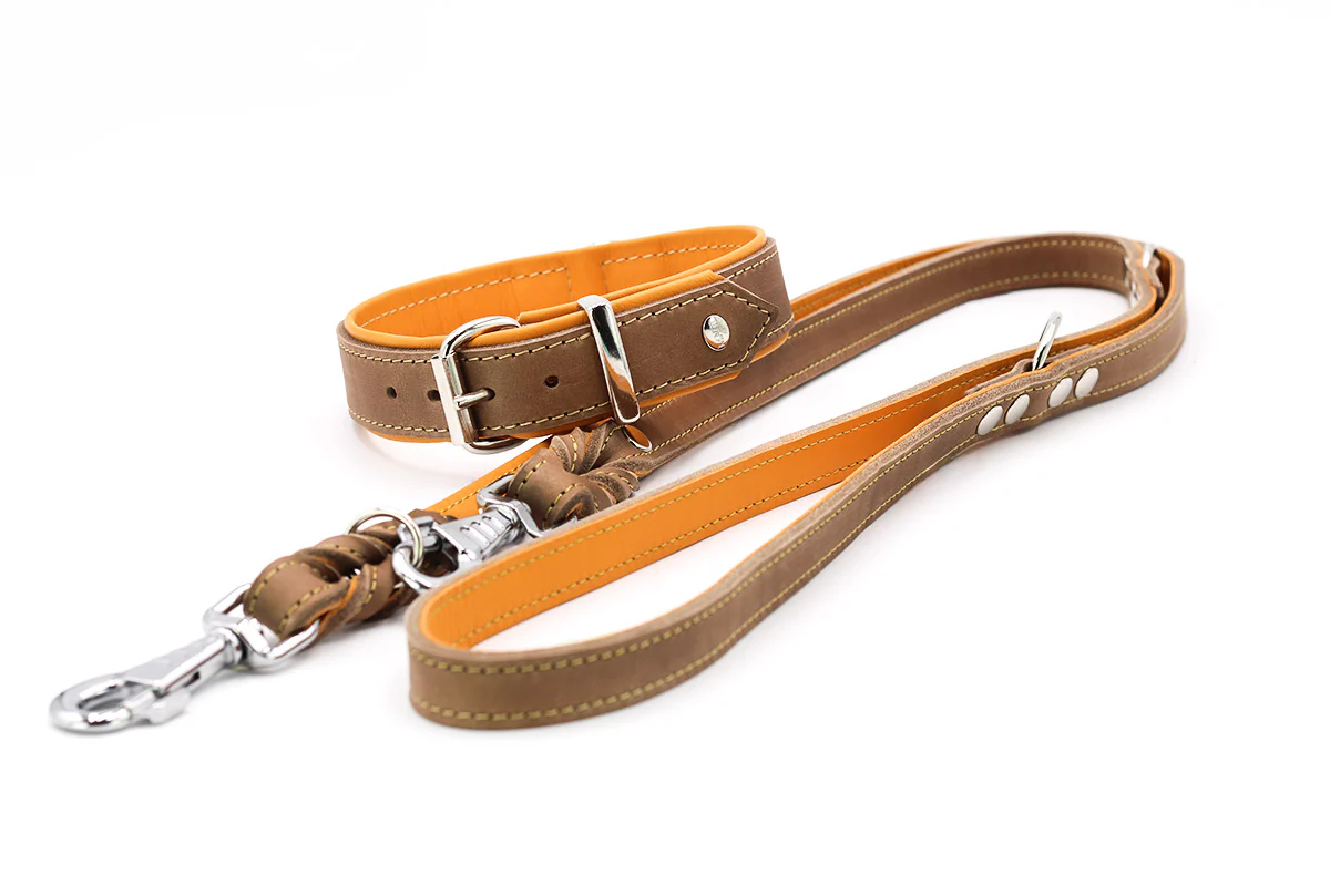 Halsband Klassik Premium Mokka - Image 8