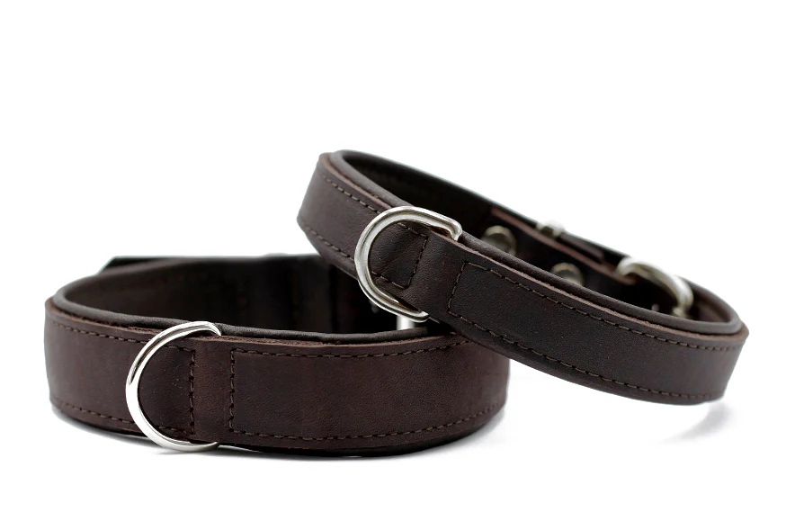 Halsband Klassik Premium - Image 6