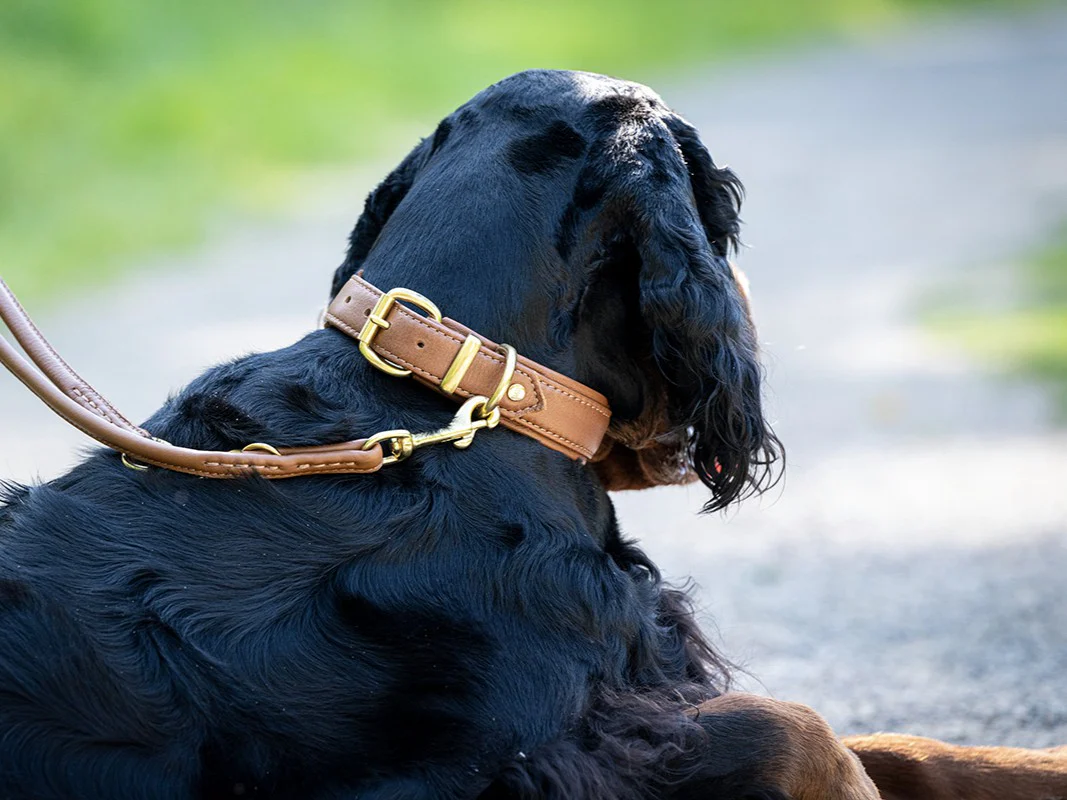 Halsband Klassik Soft Brauntöne - Image 12