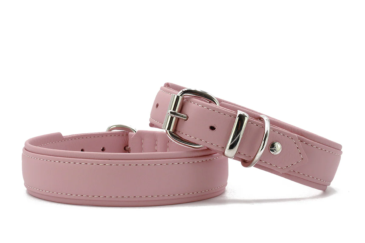 Halsband Klassik Soft - Holi Color - Image 11