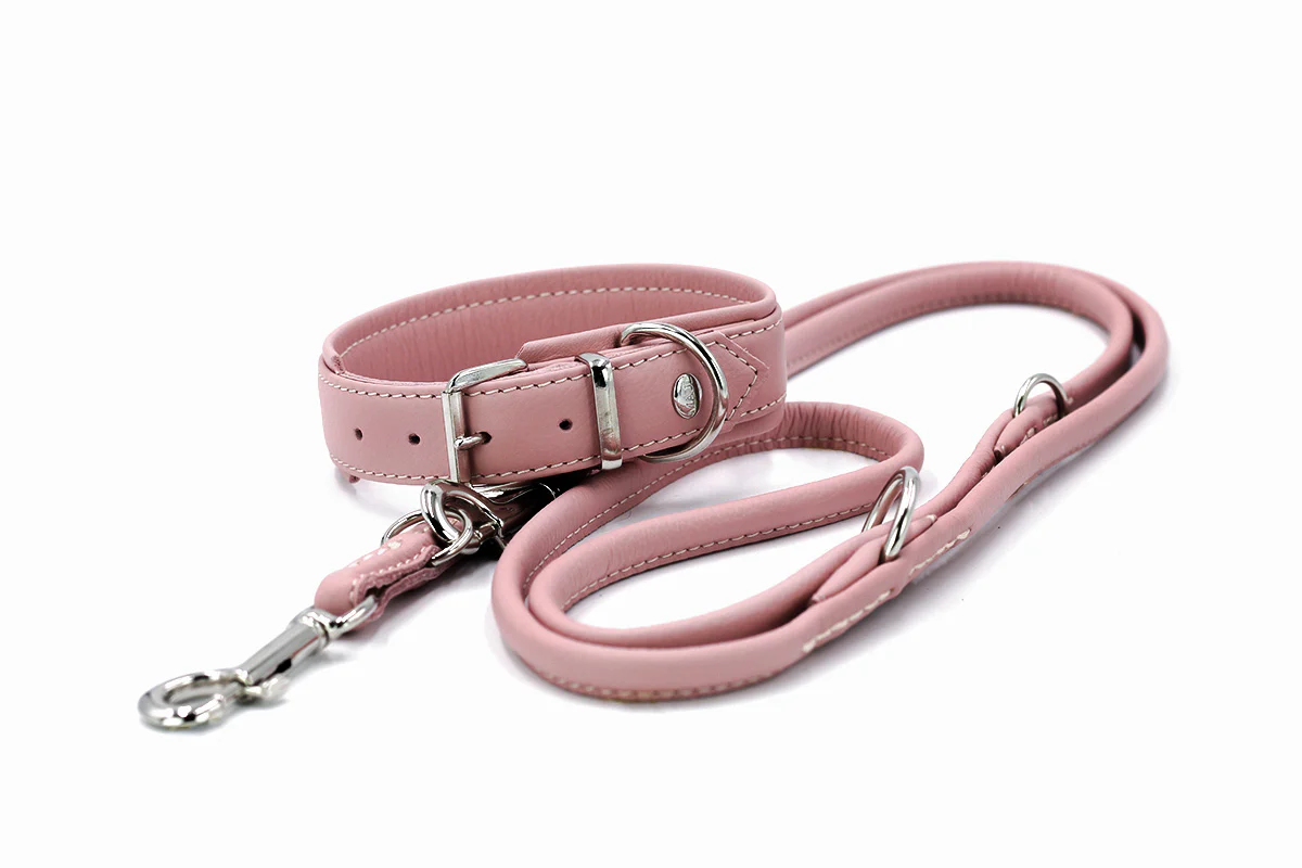 Halsband Klassik Soft - Holi Color - Image 13