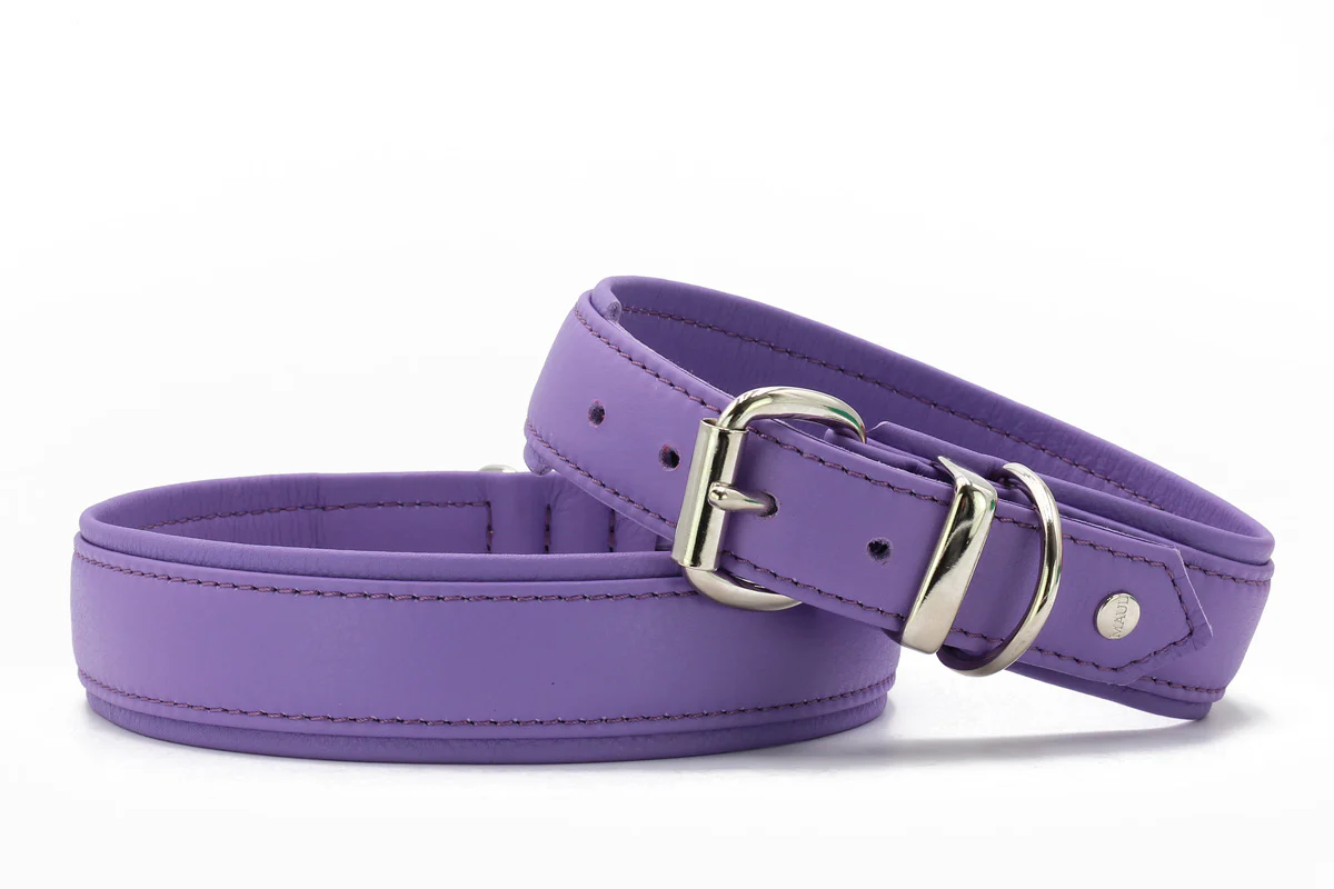 Halsband Klassik Soft - Holi Color - Image 14