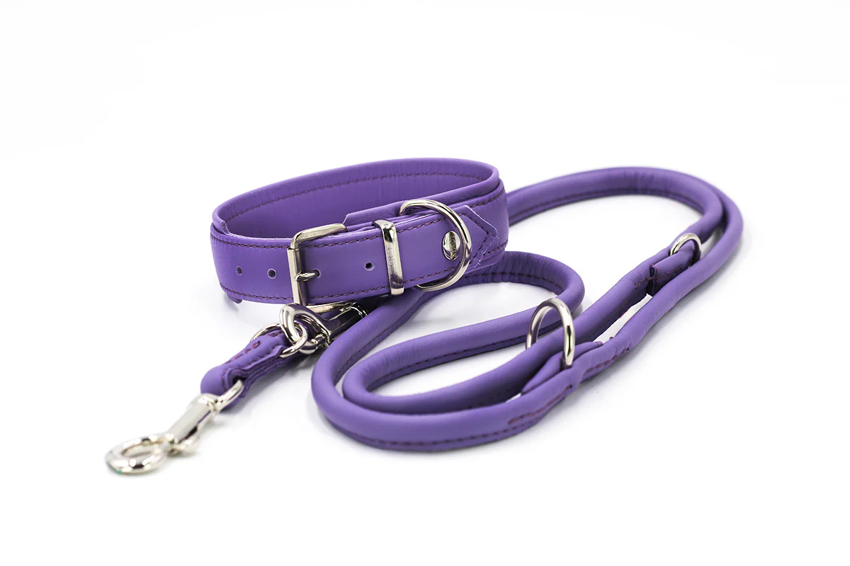 Halsband Klassik Soft - Holi Color - Image 17