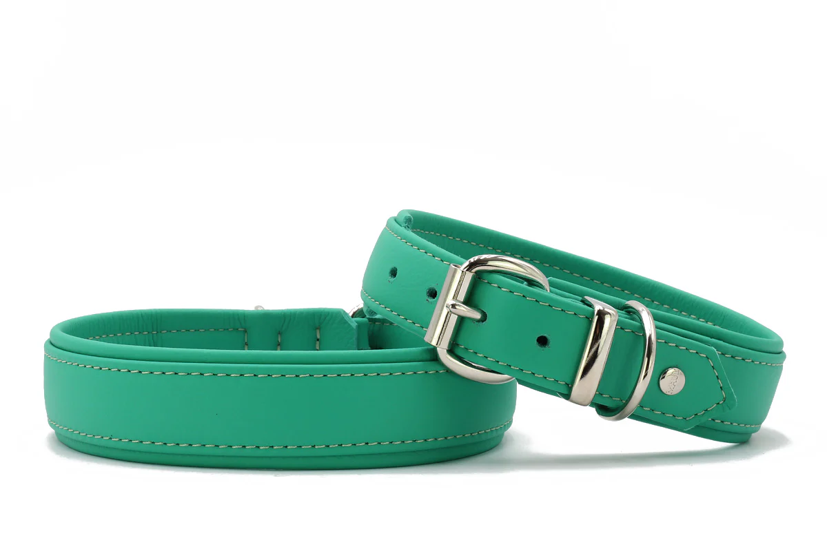 Halsband Klassik Soft - Holi Color - Image 5