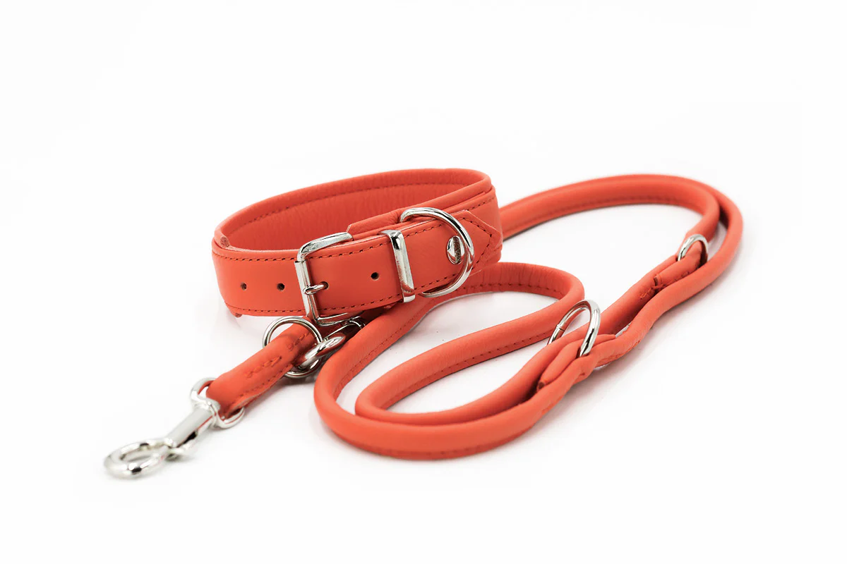 Halsband Klassik Soft orange - Image 3