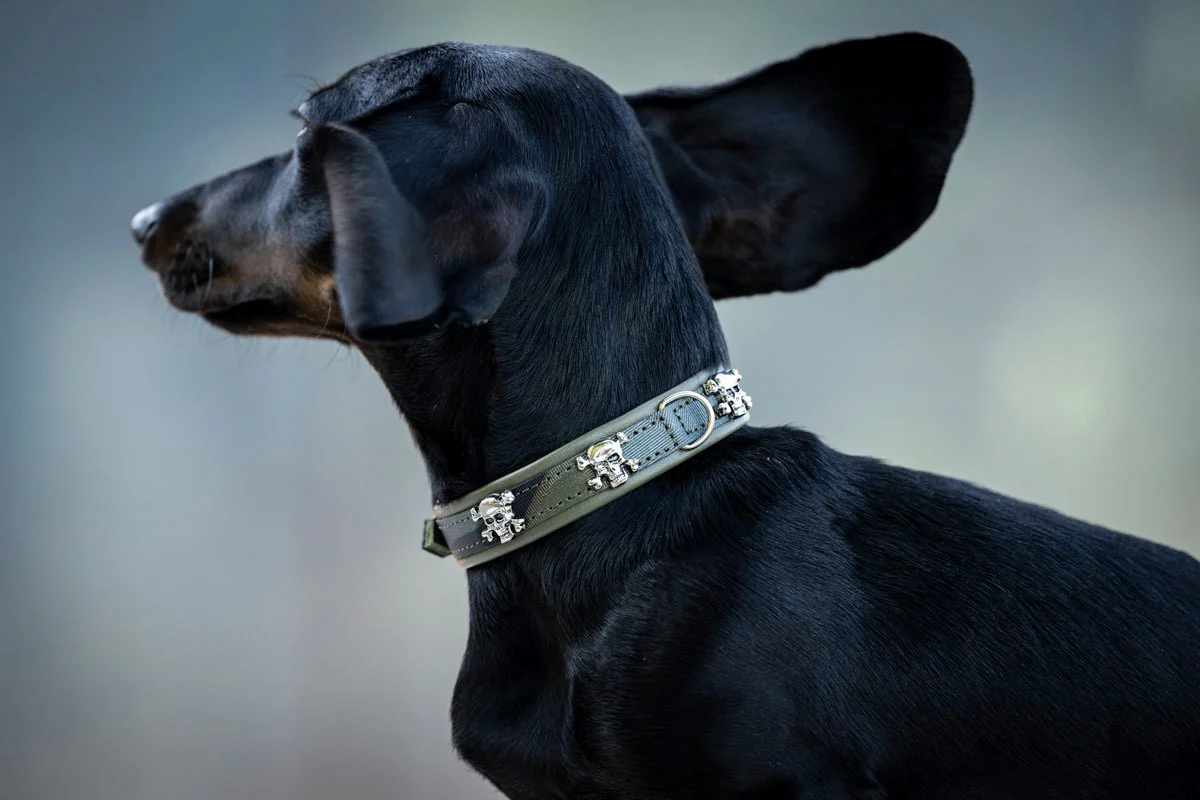 Halsband Mini Wild Army - Image 3