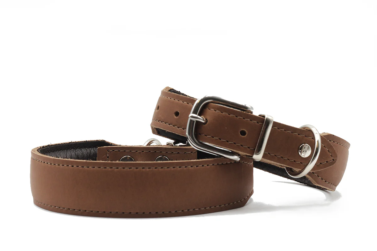 Halsband Mono Pop Herbst Edition - Image 10