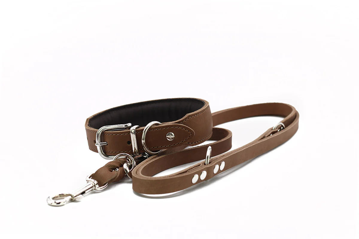 Halsband Mono Pop Herbst Edition - Image 12