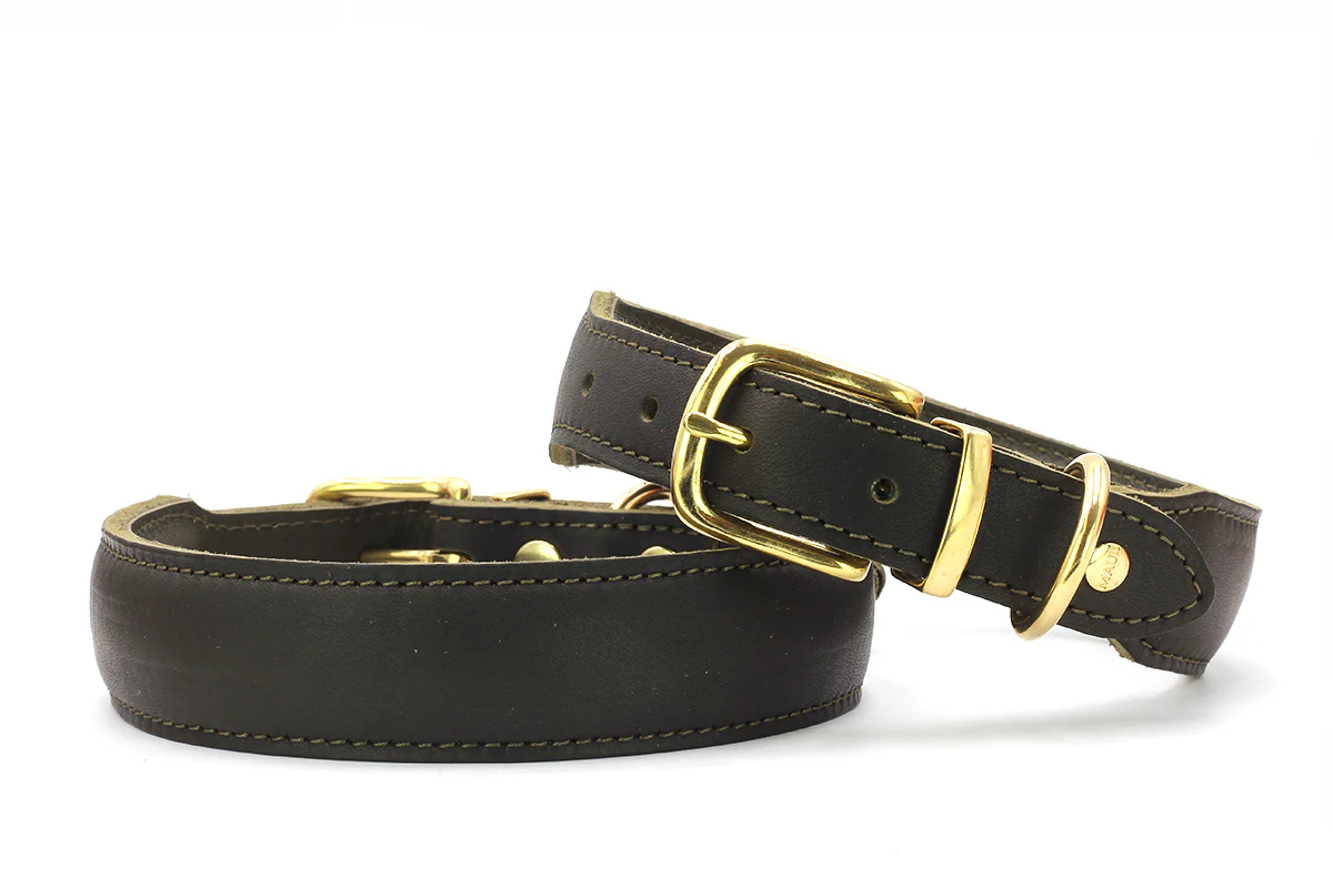 Halsband Mono Pop Herbst Edition - Image 13