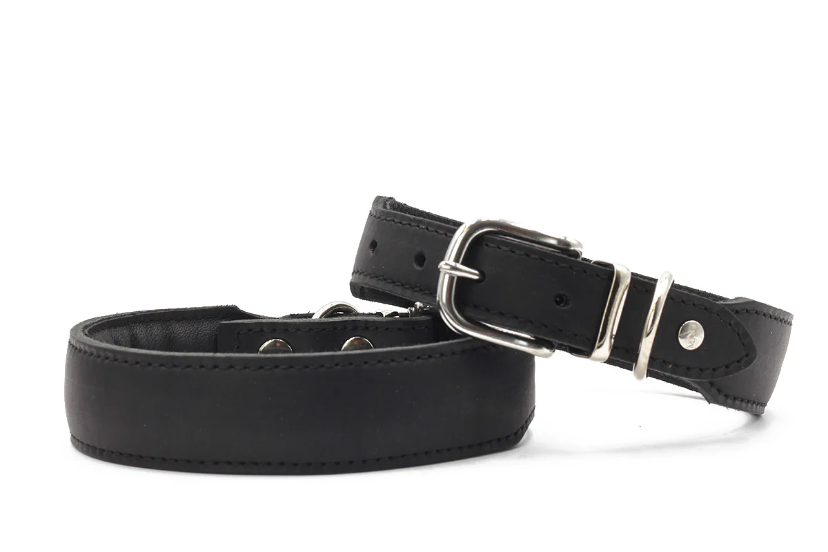 Halsband Mono Pop Herbst Edition - Image 17