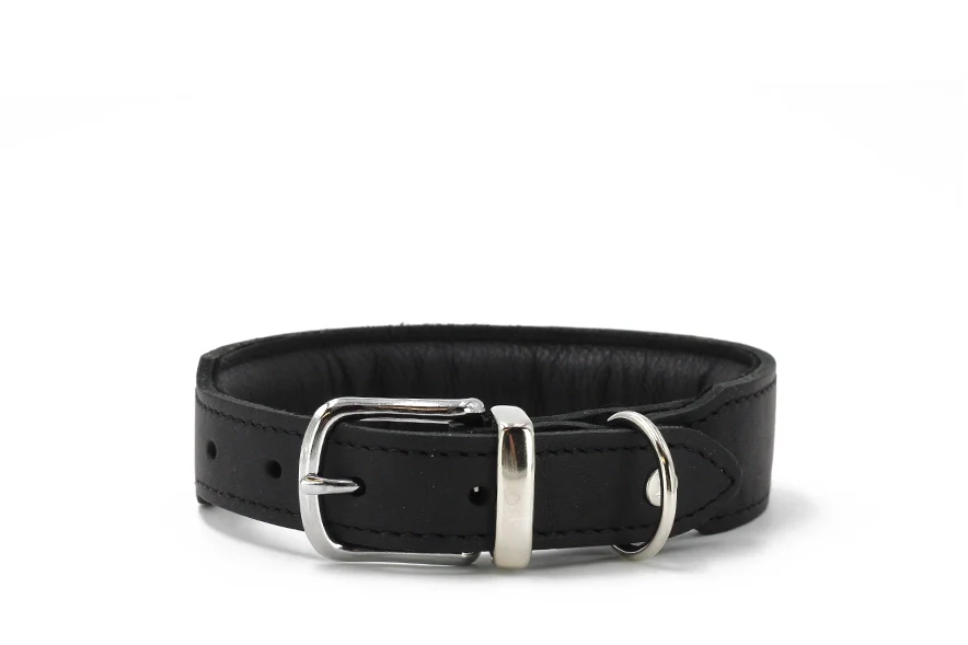 Halsband Mono Pop Herbst Edition - Image 18