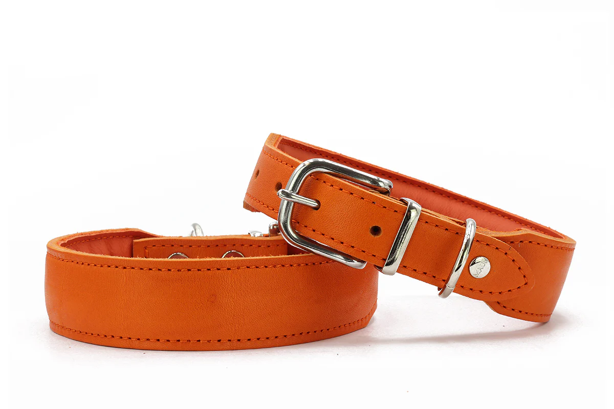 Halsband Mono Pop Herbst Edition - Image 6
