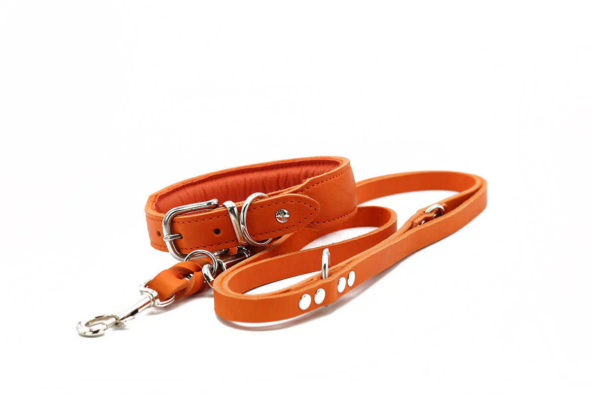 Halsband Mono Pop Herbst Edition - Image 8