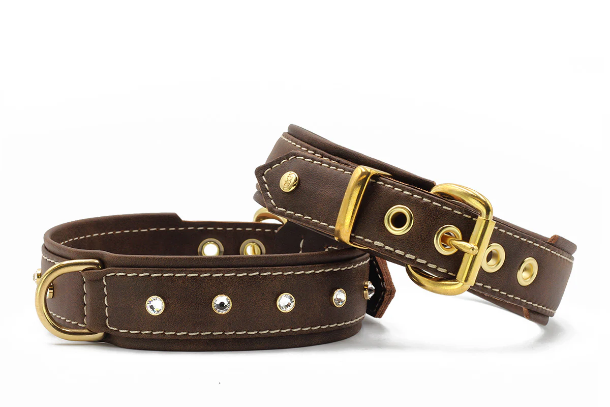 Halsband Old English - Image 4