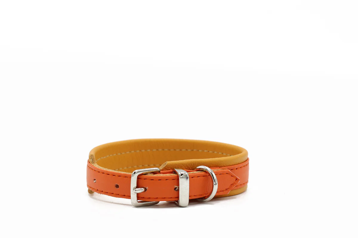Halsband Spring Break Mini - Image 3