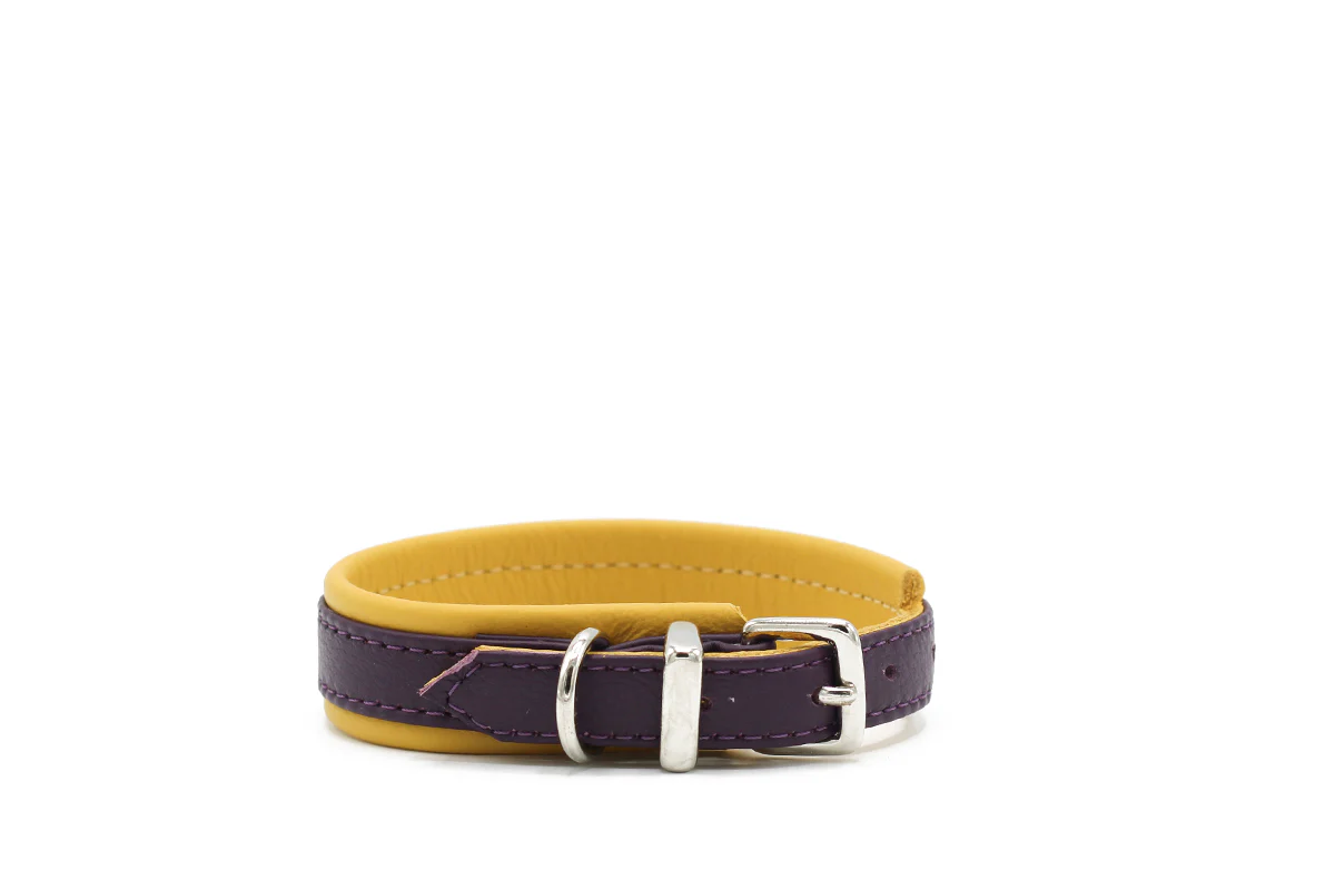 Halsband Spring Break Mini - Image 5