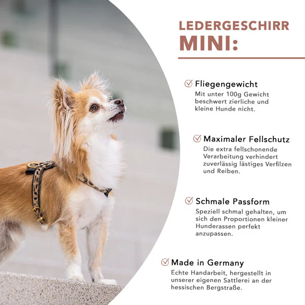 Ledergeschirr Mini - Image 21