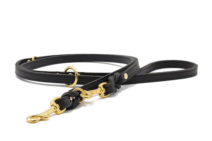 Lederleine Klassik Premium 2m Gold - Image 5
