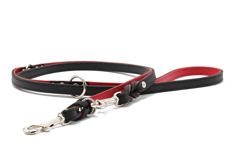 Lederleine Klassik Premium 2m Silber - Image 9