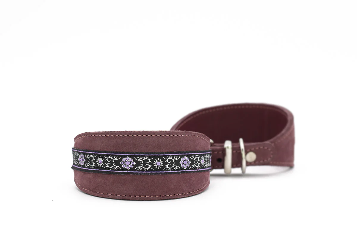 Windhundhalsband Borte - Image 3